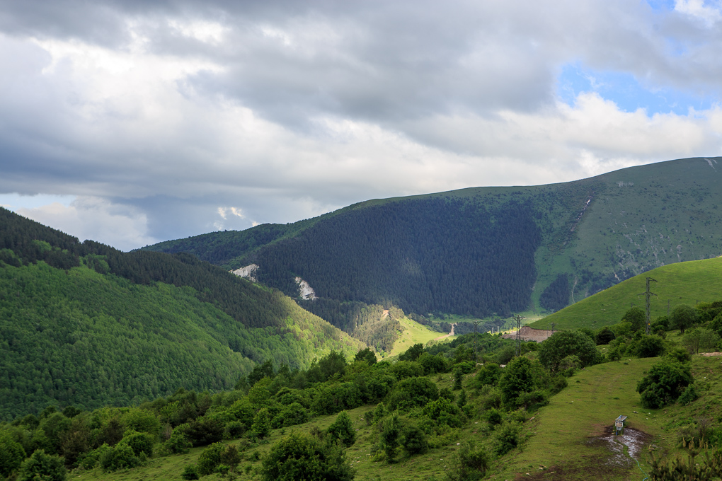 Posof